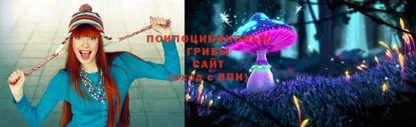 трава Белокуриха