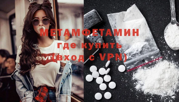 трава Белокуриха