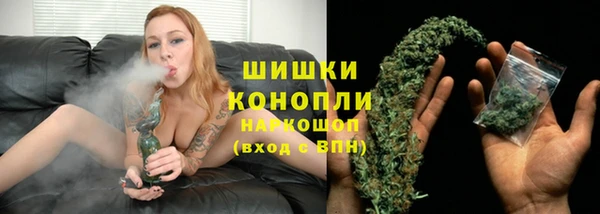 трава Белокуриха