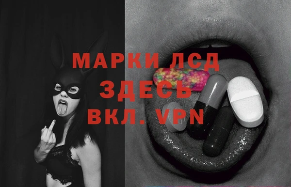 трава Белокуриха