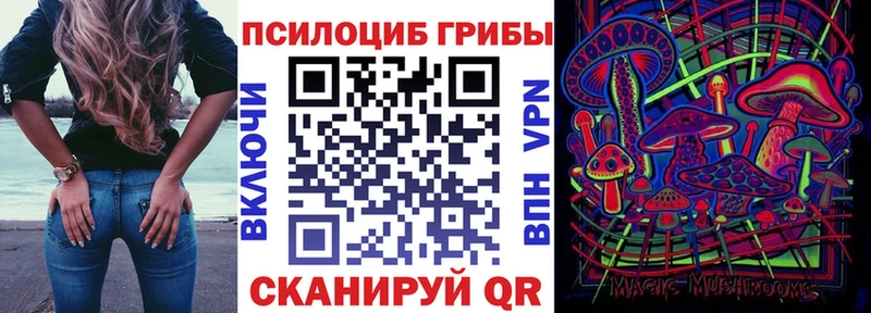 hydra рабочий сайт  Мариинский Посад  Псилоцибиновые грибы Magic Shrooms 